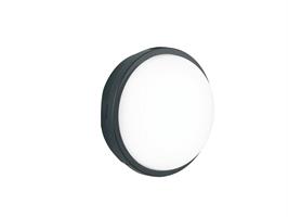 LED-EVER-L ANT PLAFONIERA LED EVER ANTRACIT