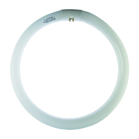 LR-T9 40W 6500K - 865 -CIRCOLARE G10Q