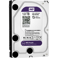 Hard Disk Western Digital da 1TB