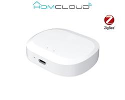 CENTRALINA INTELLIGENTE WIFI-ZIGBEE